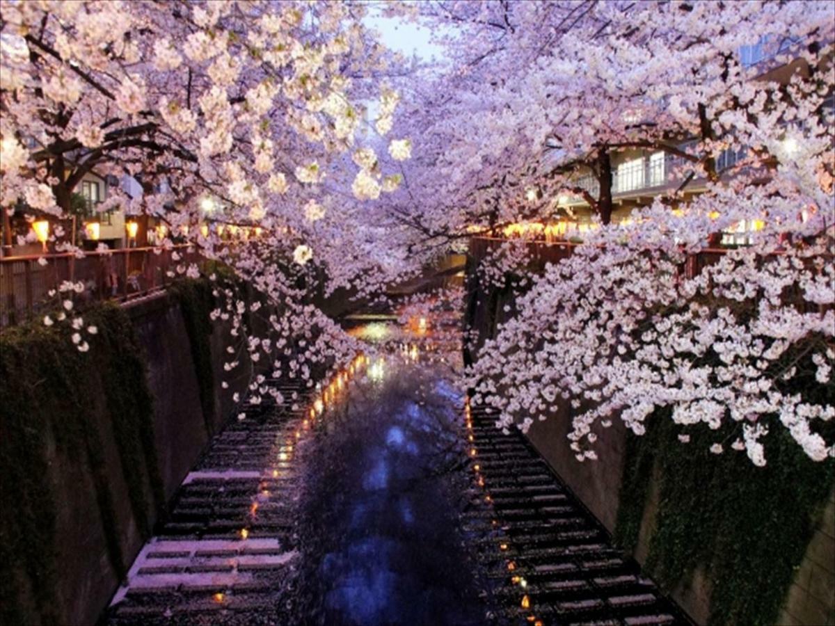First Cabin Nishiazabu طوكيو المظهر الخارجي الصورة